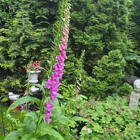 Oase Am Deich * Krummendeich