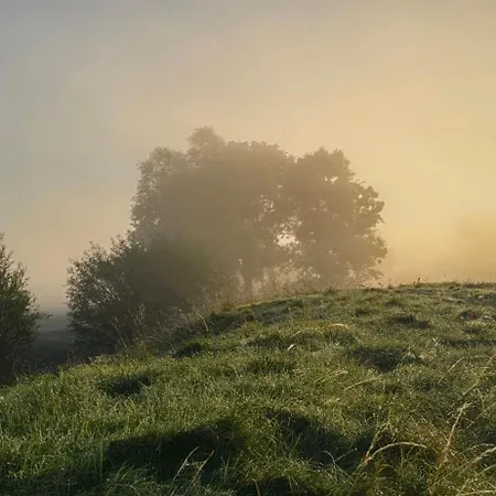 Oase Am Deich * Krummendeich