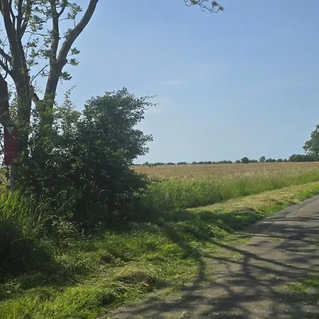 Oase Am Deich 아파트