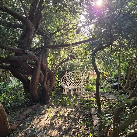 شقة Oase Am Deich *