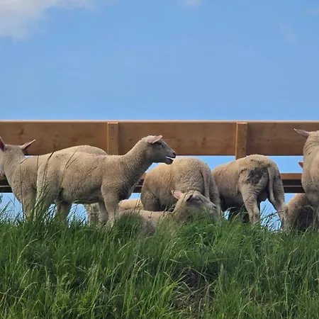 Oase Am Deich 아파트