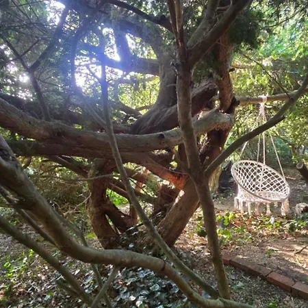 Oase Am Deich * Krummendeich