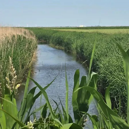 شقة Oase Am Deich