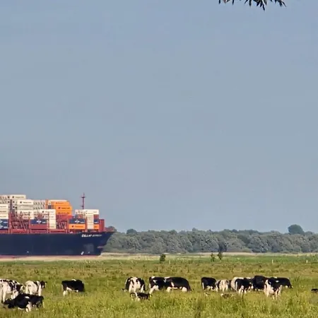 Oase Am Deich شقة *