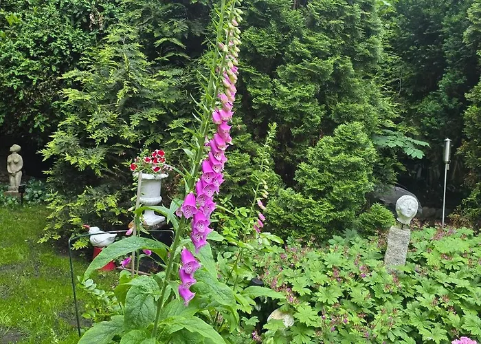 Oase Am Deich * Krummendeich