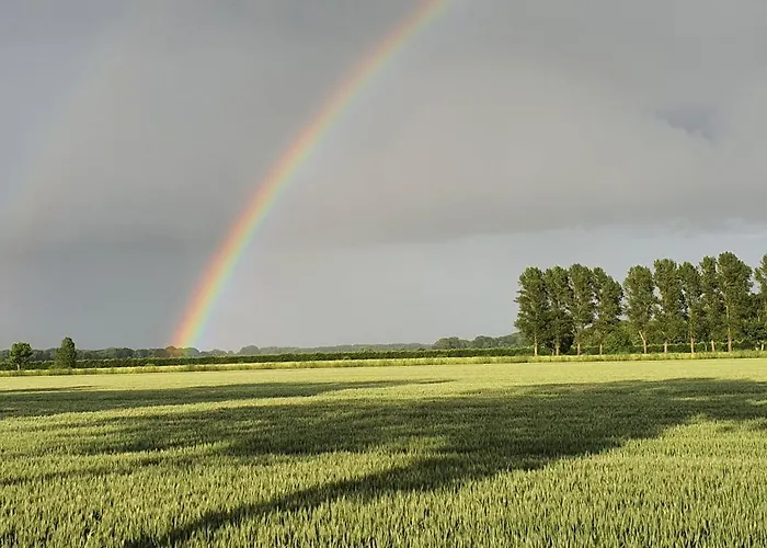 Oase Am Deich アパート *