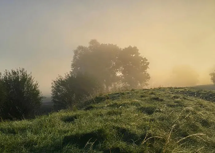 Oase Am Deich * Krummendeich