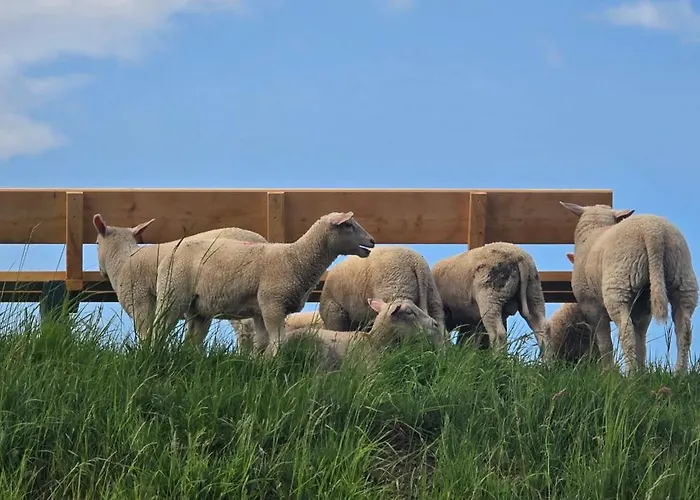 Oase Am Deich アパート