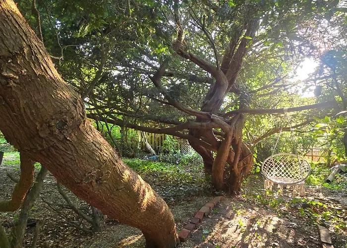 アパート Oase Am Deich