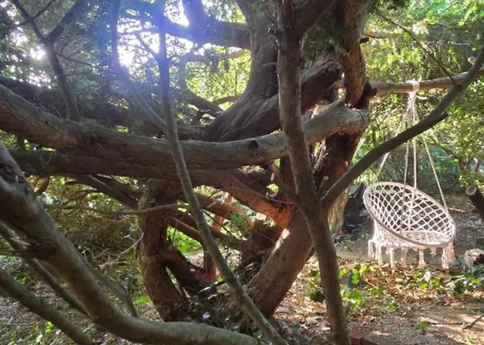 Oase Am Deich * Krummendeich