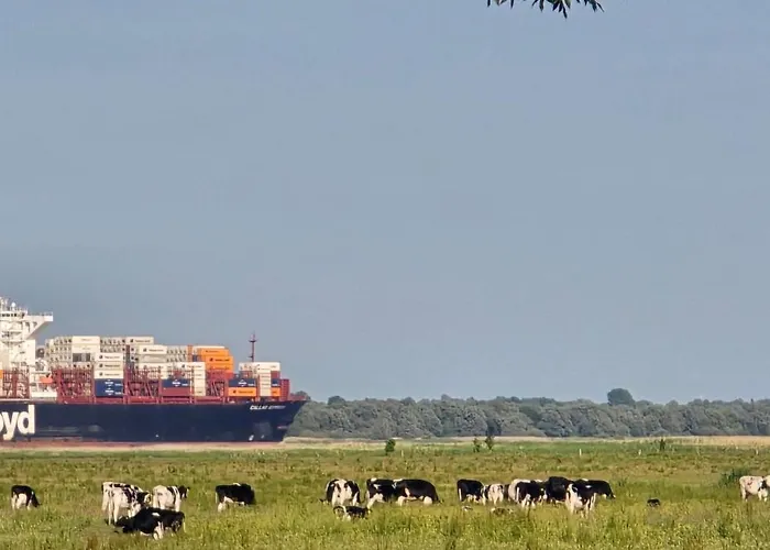 Oase Am Deich アパート *