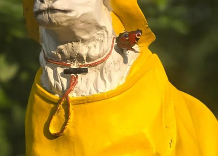 アパート Oase Am Deich